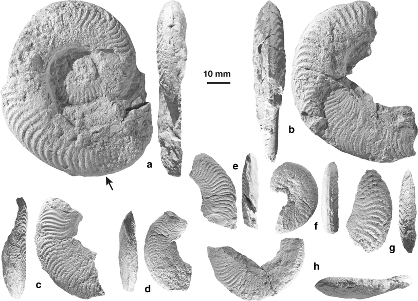 Fig. 10