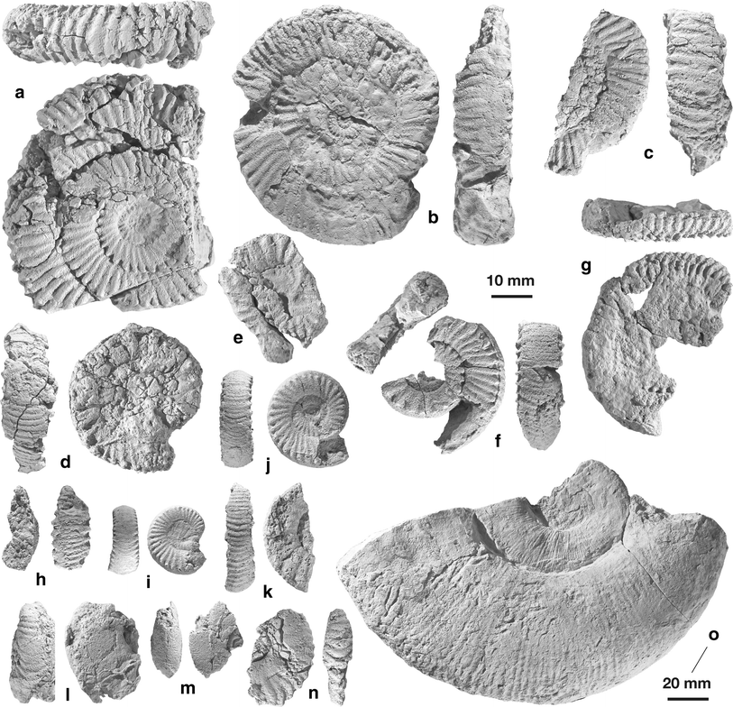 Fig. 8