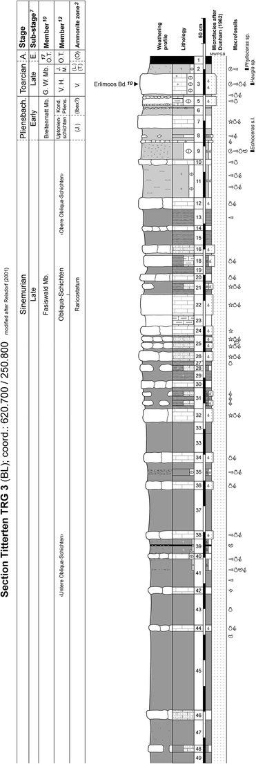 Fig. 19