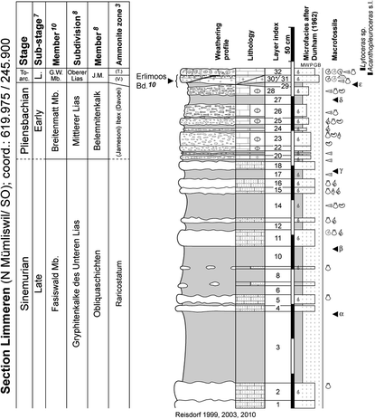 Fig. 20