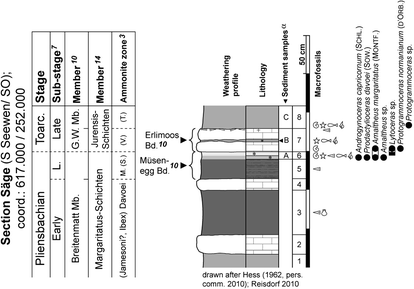 Fig. 21