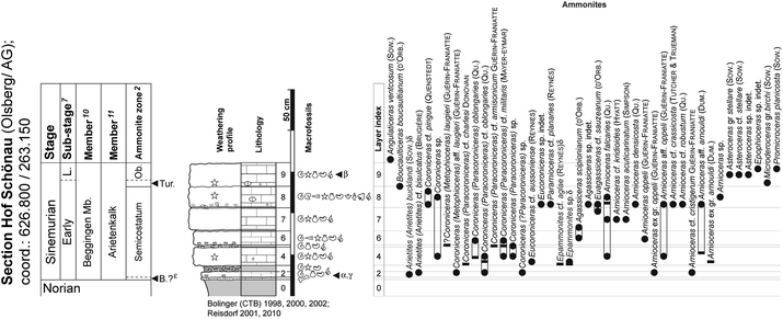 Fig. 8