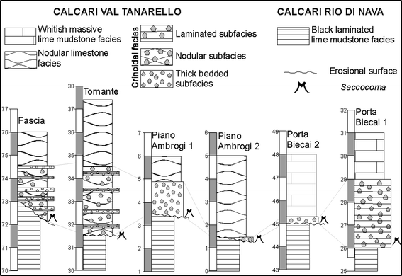 Fig. 4