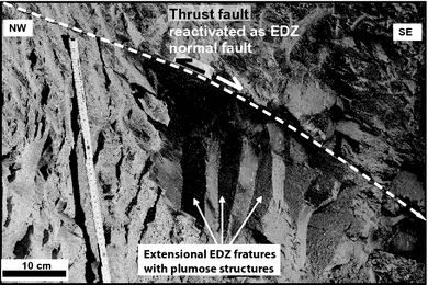 Fig. 11