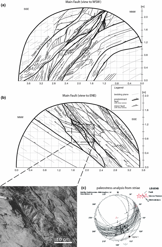 Fig. 7