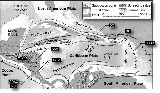 Fig. 10