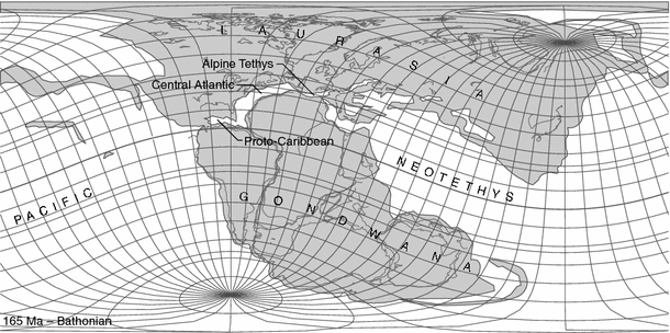 Fig. 11