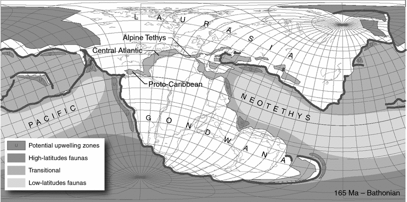 Fig. 13