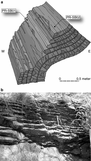 Fig. 3