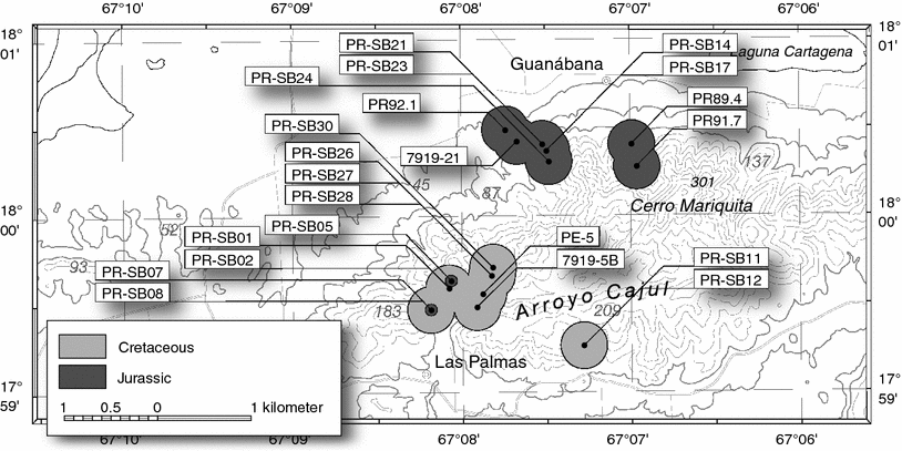 Fig. 8