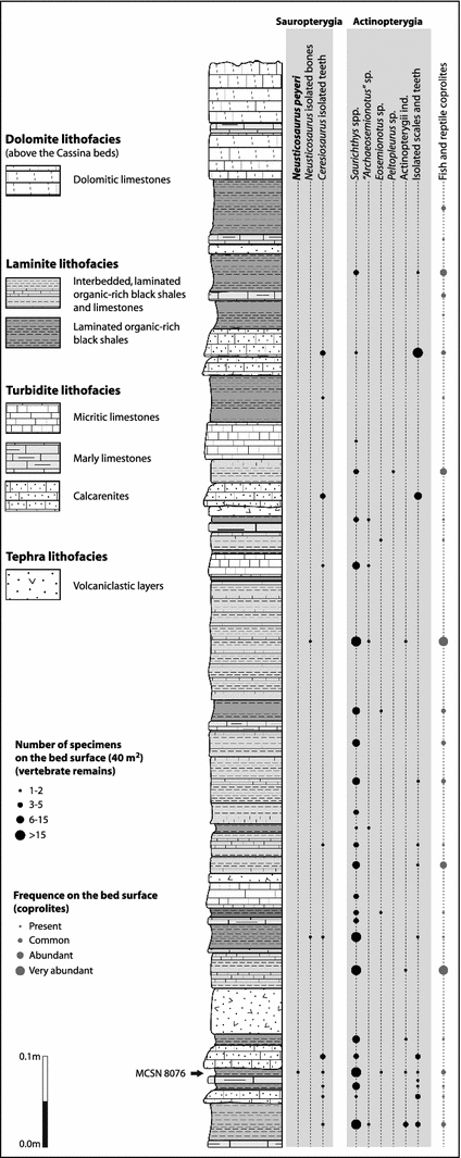 Fig. 3