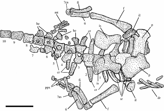 Fig. 7