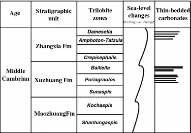 Fig. 2