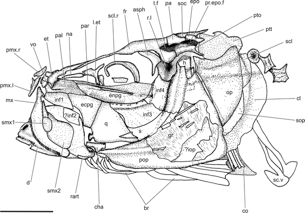 Fig. 4