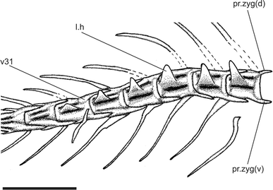 Fig. 7