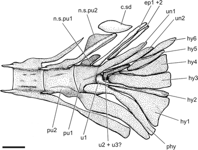 Fig. 9