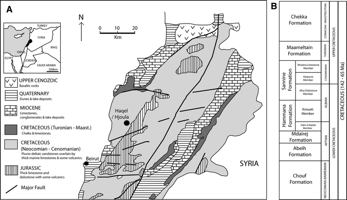 Fig. 1