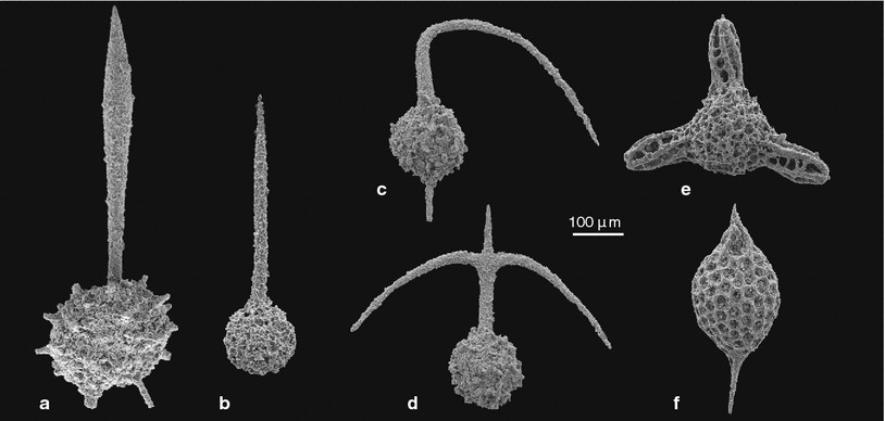 Fig. 6