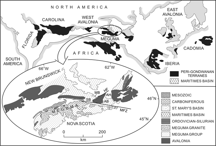 Fig. 1