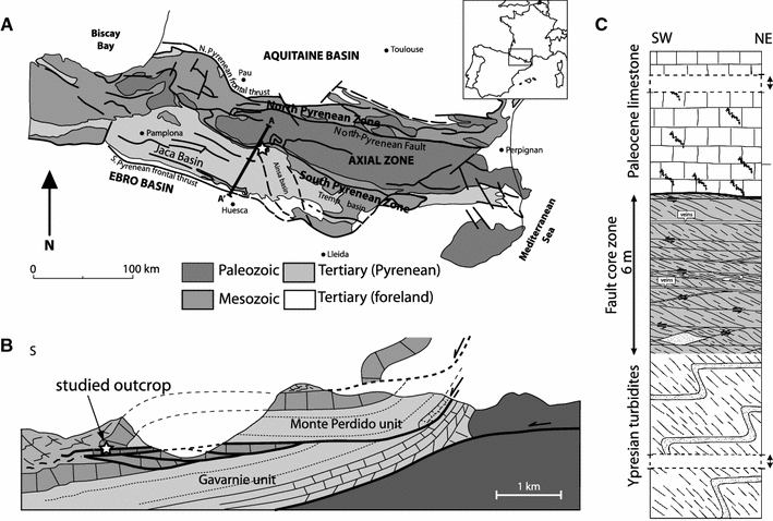 Fig. 1