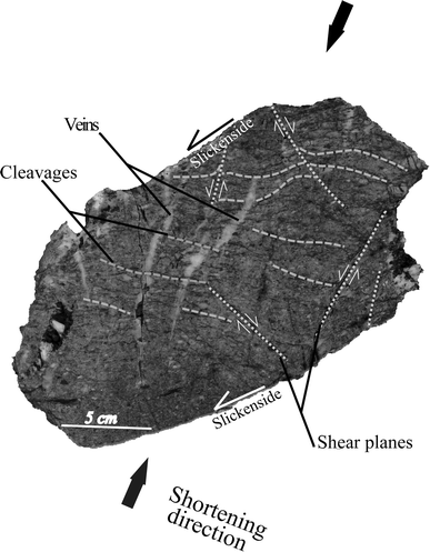 Fig. 3