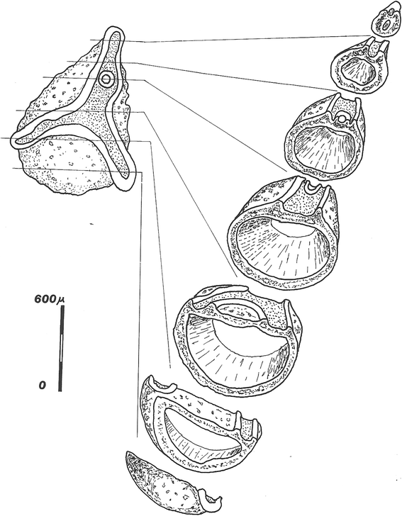 Fig. 5 Fig. 5