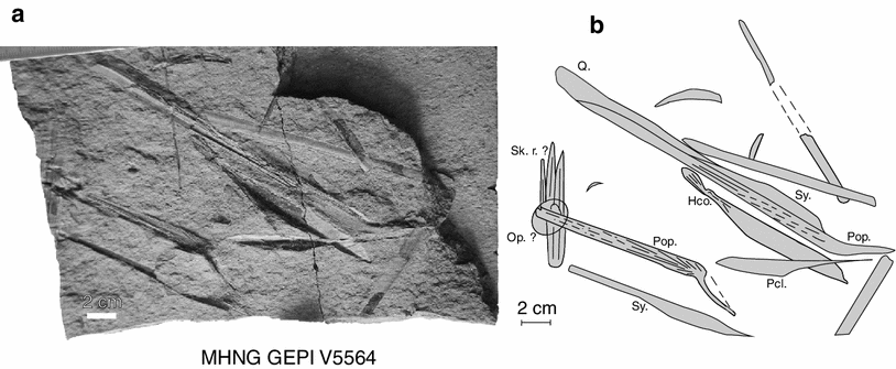 Fig. 7