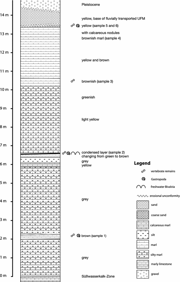 Fig. 2