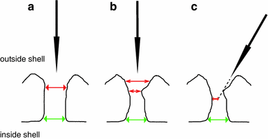 Fig. 2