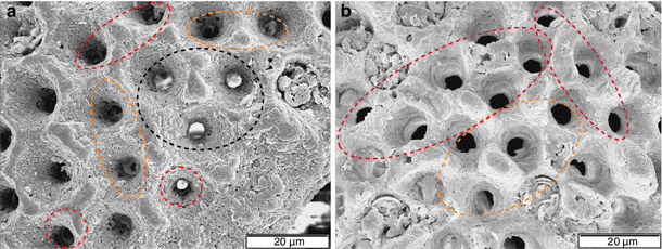 Fig. 4