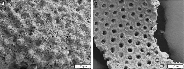 Fig. 7