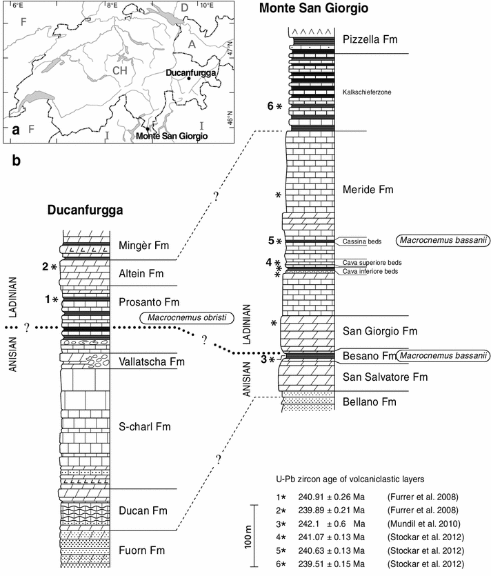 Fig. 1