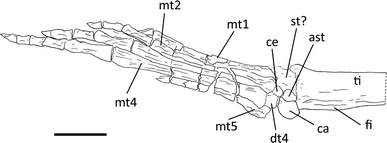 Fig. 4