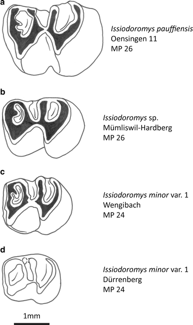 Fig. 8