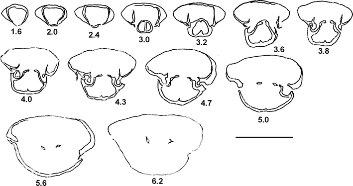 Fig. 3