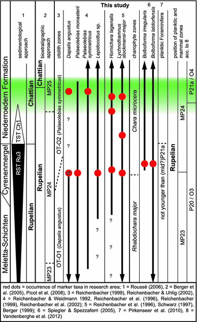 Fig. 5