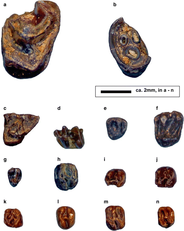 Fig. 3