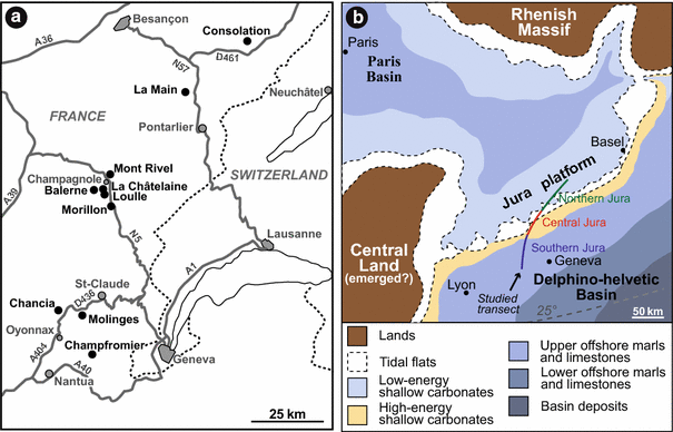 Fig. 1