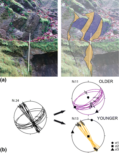 Fig. 3