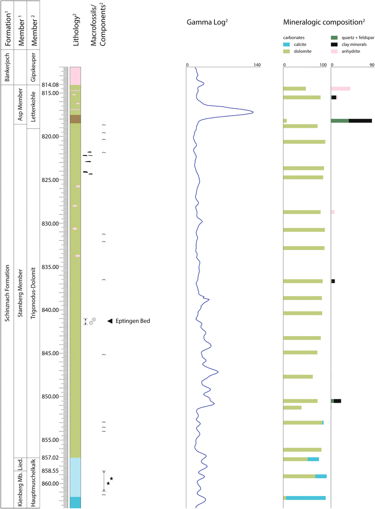 Fig. 7