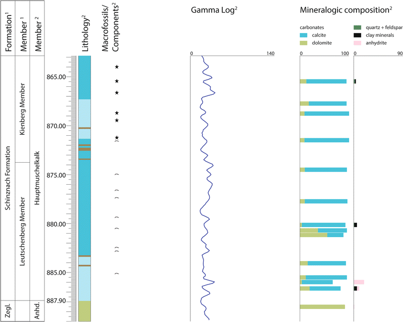 Fig. 7