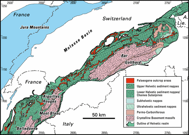 Fig. 1