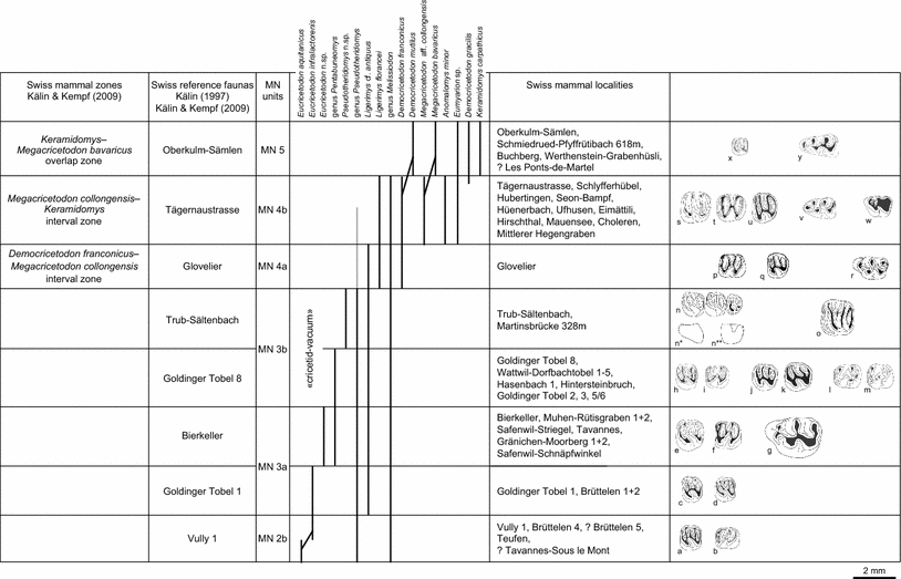 Fig. 6