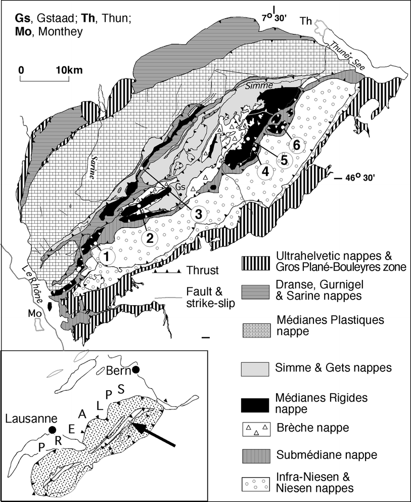 Fig. 1