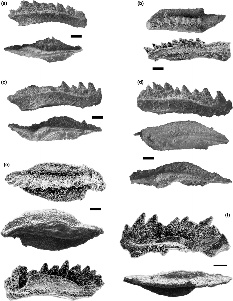 Fig. 8