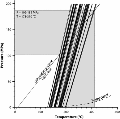 Fig. 8