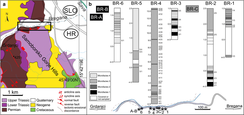 Fig. 2