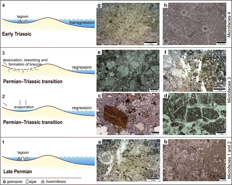 Fig. 3