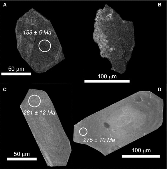 Fig. 5