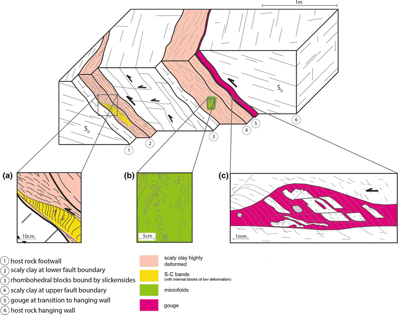 Fig. 8